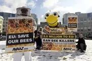 US regulators under fire over bee-toxic pesticides 