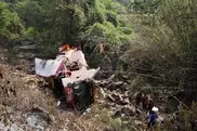 Five dead, 53 hurt in Thai bus cliff plunge
