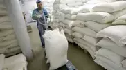 Kazakstan to retain global leadership in flour export