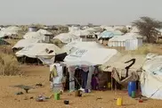 74,000 Malians in Mauritania desert need help: aid group 
