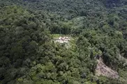 Indonesia moves towards approving deforestation plan 