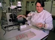 US studies find genetic links in aggressive cancers 