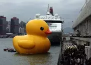 Chinese imitators copy Hong Kong's giant duck 