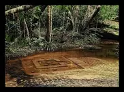 Lost medieval city found in Cambodia: report 