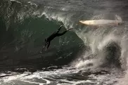 Whale knocks surfer unconscious in Australia 