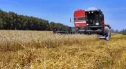 Kazakhstan expecting grain harvest of up to 15 million tons