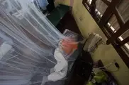 Insecticide-treated bed nets prevent tropical disease: study 