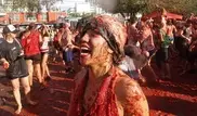 Hard-hit Spanish town charges fees for tomato fight