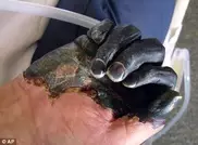 Kyrgyzstan urges calm after teen's plague death 