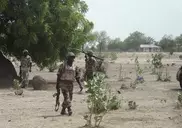Nigeria military says killed 50 Boko Haram fighters 