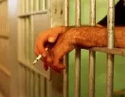 Smoking to be banned in English prisons: report