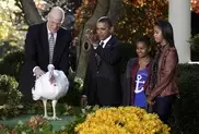 Obama to 'pardon' Thanksgiving turkeys