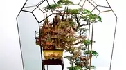 Japan's 'Tree Town' sculptors make living art