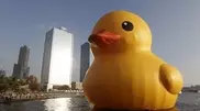 Giant yellow duck explodes in Taiwan...again