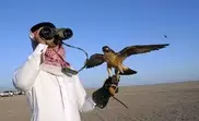 Saudi prince killed endangered birds