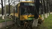 Brakes fail, bus crashes into tree in Almaty