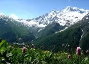 Kazakhstan to value national parks over mineral resources: Baigarin