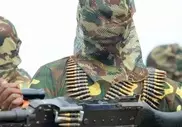 Boko Haram kill 24 in Nigeria village raid: residents