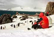 Scientists warn of tourism threat to Antarctica