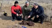 Artefacts of 18 century war discovered in South Kazakhstan