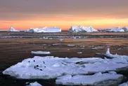 Study predicts Antarctic ice melting will endure