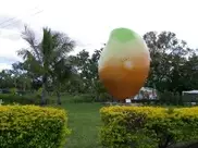 Thieves make off with giant Australian mango