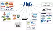 Greenpeace accuses P&G over Indonesian forest destruction