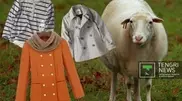 Zara and Benetton purchase wool from Kazakhstan