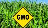 Use of GMOs debated in Kazakh Senate