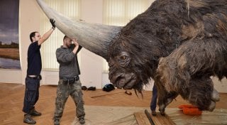 Elasmotherium sibiricum. Photo courtesy of palba.cz