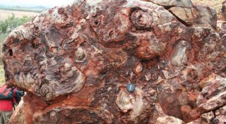 The 'egg carton' stromatolites at the Trendall Reserve are among the oldest known structures regarded as biogenic in origin.  Photo courtesy of dmp.wa.gov.au