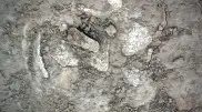 Human bones discovered under a road in Almaty