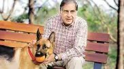 Indian businessman left an incredible inheritance to his dog