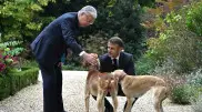 Scenes from the Elysee Palace: Tokayev and Macron with Kazakh tazy dogs
