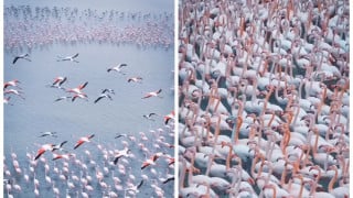 frames from video: instagram.com/azamat_sarsenbayev