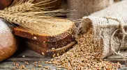 Kazakhstan to increase grain exports