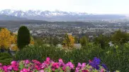 How Almaty will regain its garden city status