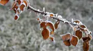 Frosts up to 25 degrees: weather in Kazakhstan on December 9