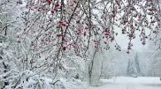 What will the weather be like in Almaty and Astana from December 17 to 19