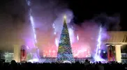 Almaty's main Christmas tree: When the lights will be lit