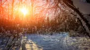 Snow and frost of up to -30°C: Weather in Kazakhstan for December 24