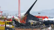 South Korea air crash caused by fatal coincidence - NYT