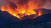 Los Angeles fires: 9 people accused of looting
