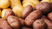 Potato prices soar in Kazakhstan: What the government is saying