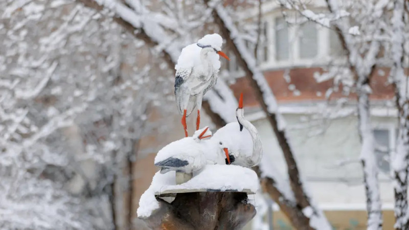 ©️ Tengrinews.kz / Alikhan Sariyev