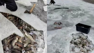 Image created from video frames