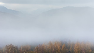 ©️ Depositphotos.com