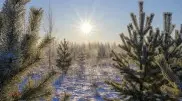 Sharp cold snap to hit Kazakhstan: Forecasters warn of frost