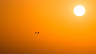 ©️ Depositphotos.com