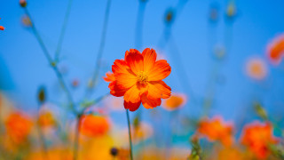 ©️ Depositphotos.com